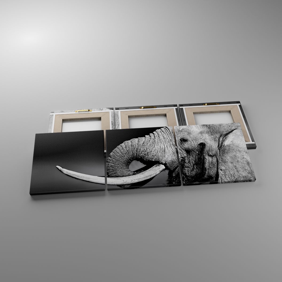 Leinwandbild Tiere, Leinwandbild Elefant, Leinwandbild Afrika, Leinwandbild Natur, Leinwandbild Schwarz Und Weiß
