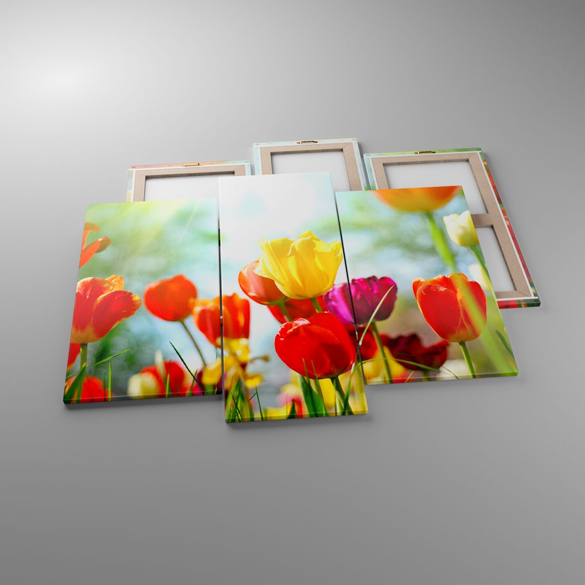 Leinwandbild Tulpen, Leinwandbild Blumen, Leinwandbild Wiese, Leinwandbild Natur, Leinwandbild Farbenfrohe Blumen