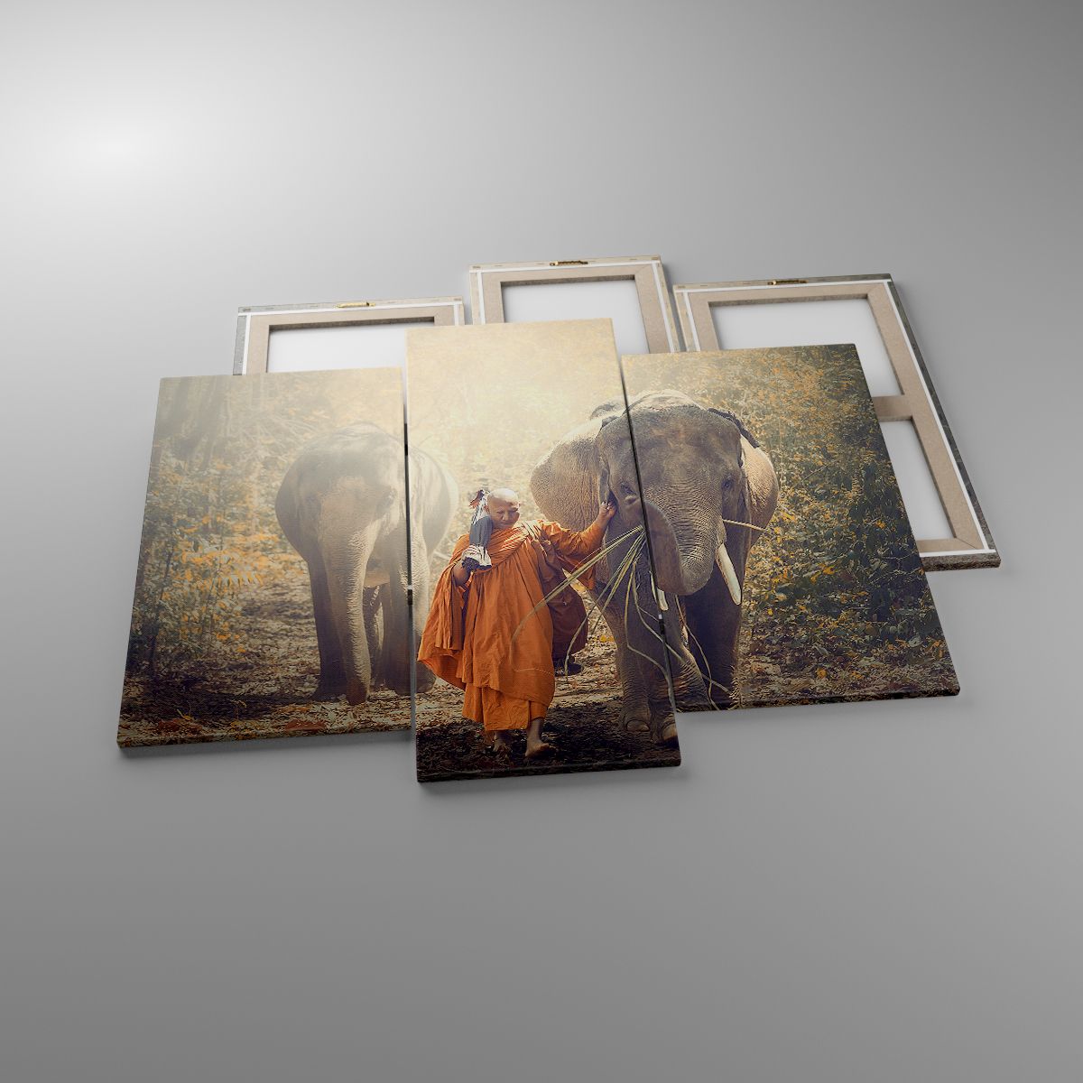 Obrazy Azja, Obrazy Słoń, Obrazy Mnich, Obrazy Dżungla, Obrazy Buddyzm