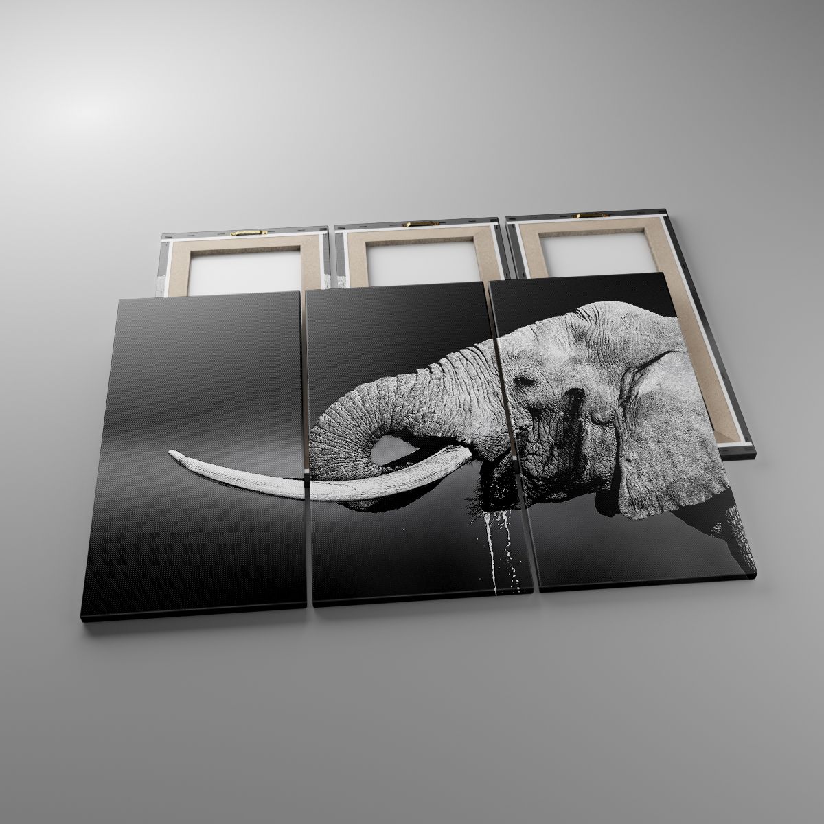 Obrazy Zwierzęta, Obrazy Słoń, Obrazy Afryka, Obrazy Natura, Obrazy Czarno-Biały