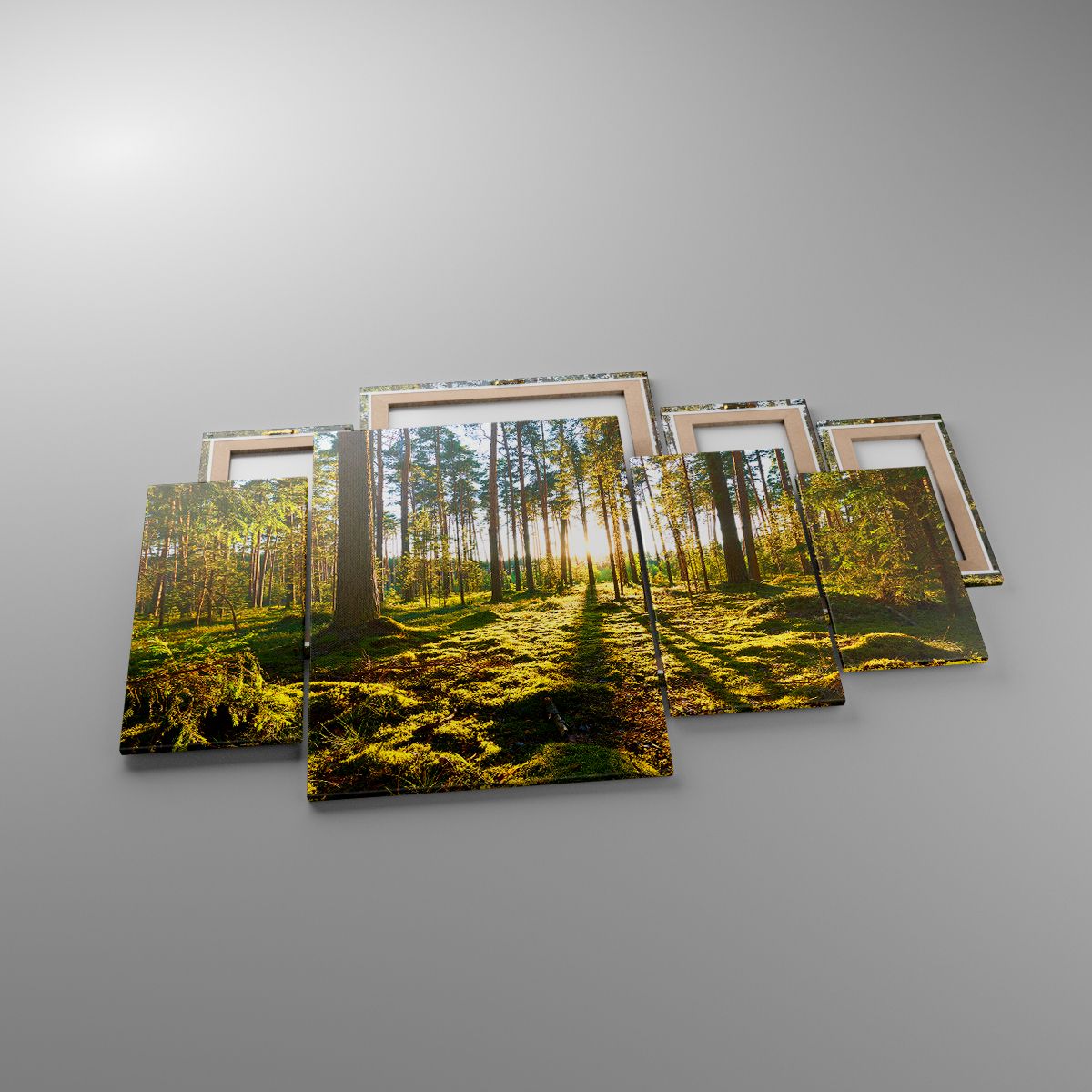 Obrazy Krajobraz, Obrazy Las, Obrazy Natura, Obrazy Promienie Słońca, Obrazy Drzewa