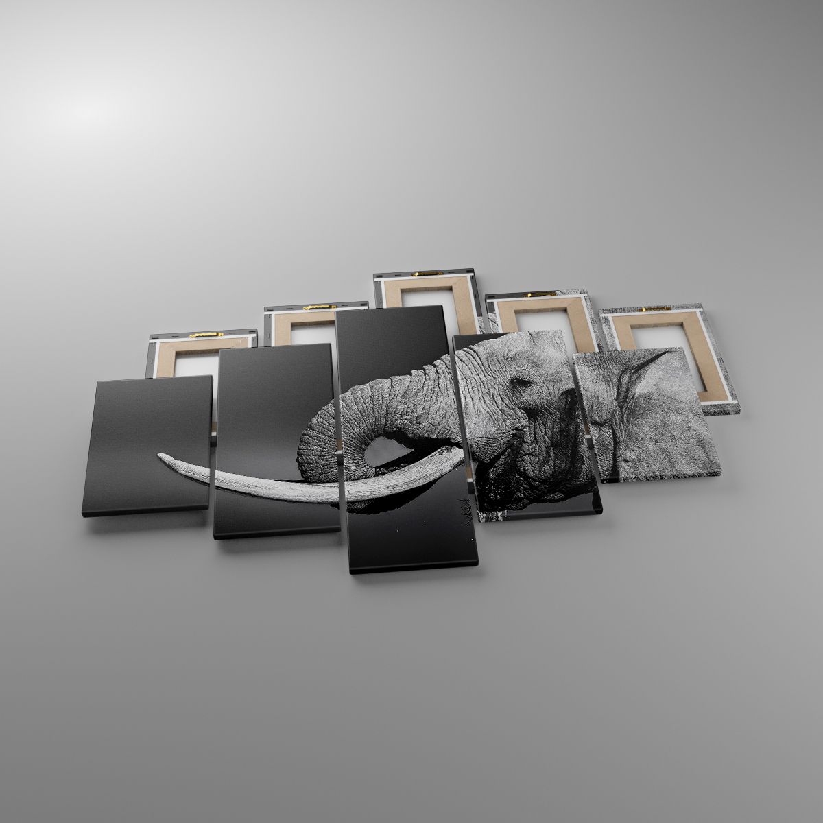Leinwandbild Tiere, Leinwandbild Elefant, Leinwandbild Afrika, Leinwandbild Natur, Leinwandbild Schwarz Und Weiß