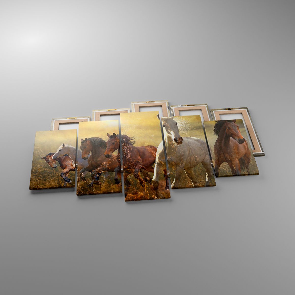 Obrazy Zwierzęta, Obrazy Koń, Obrazy Galop, Obrazy Natura, Obrazy Dzikie Konie