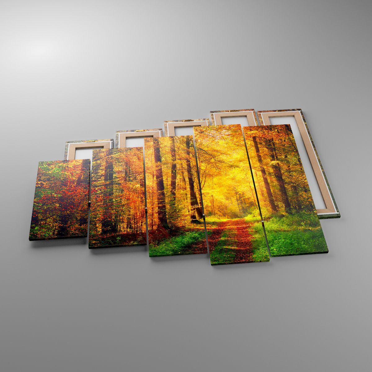 Obrazy Krajobraz, Obrazy Las, Obrazy Leśna Droga, Obrazy Liście, Obrazy Natura