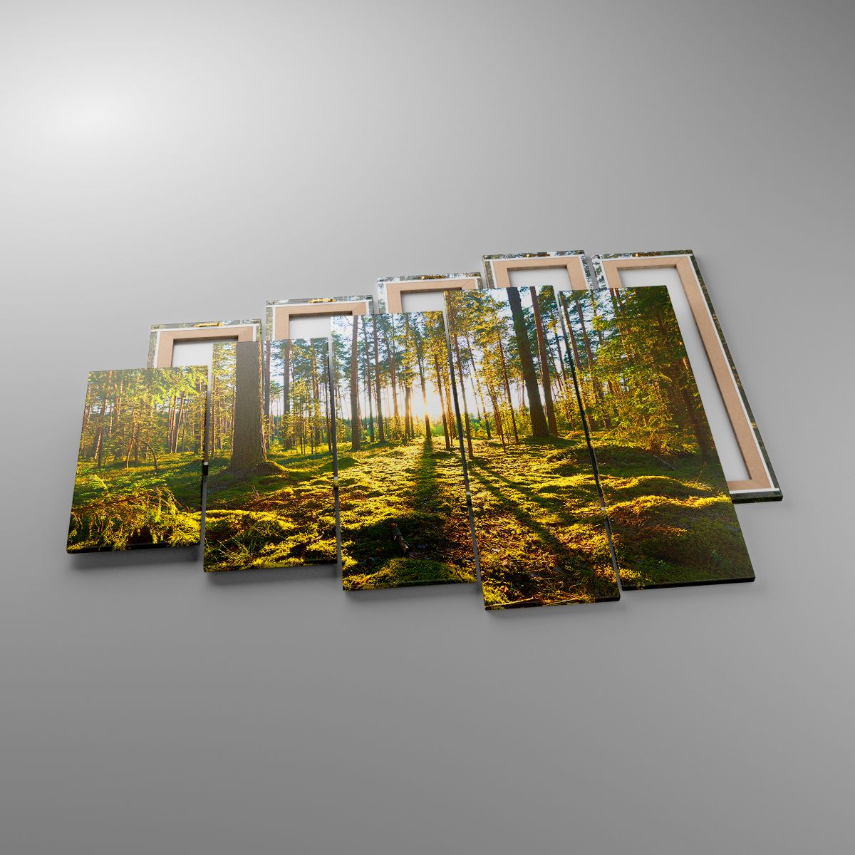 Leinwandbild Landschaft, Leinwandbild Wald, Leinwandbild Natur, Leinwandbild Sonnenstrahlen, Leinwandbild Bäume