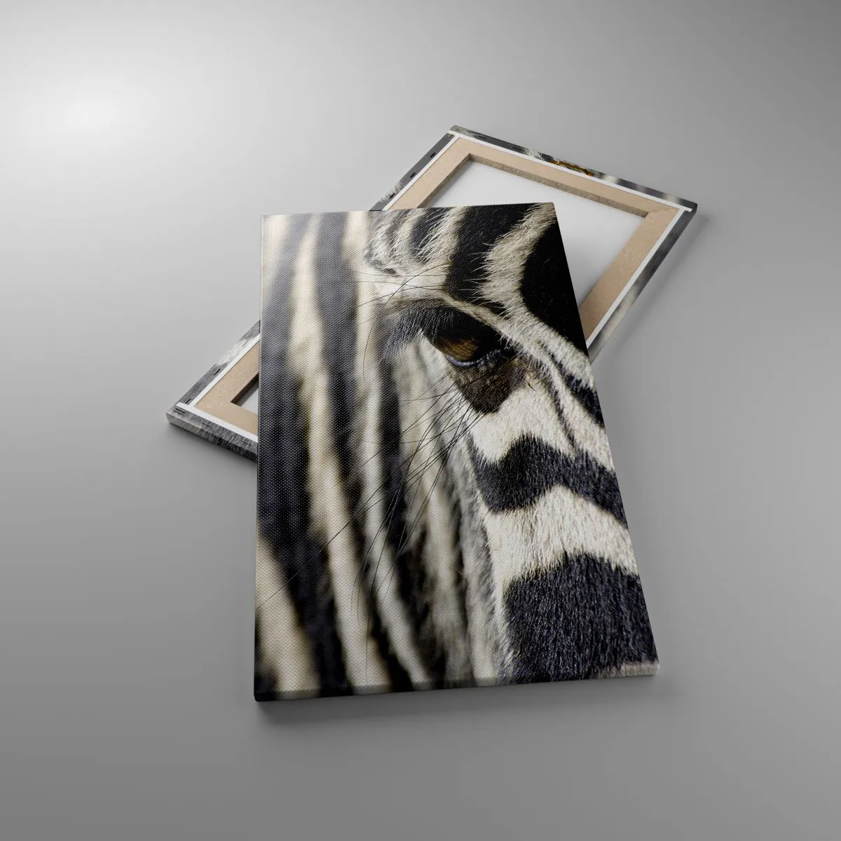 Impression sur toile - Image sur toile - Portrait en rayure - 45x80 cm