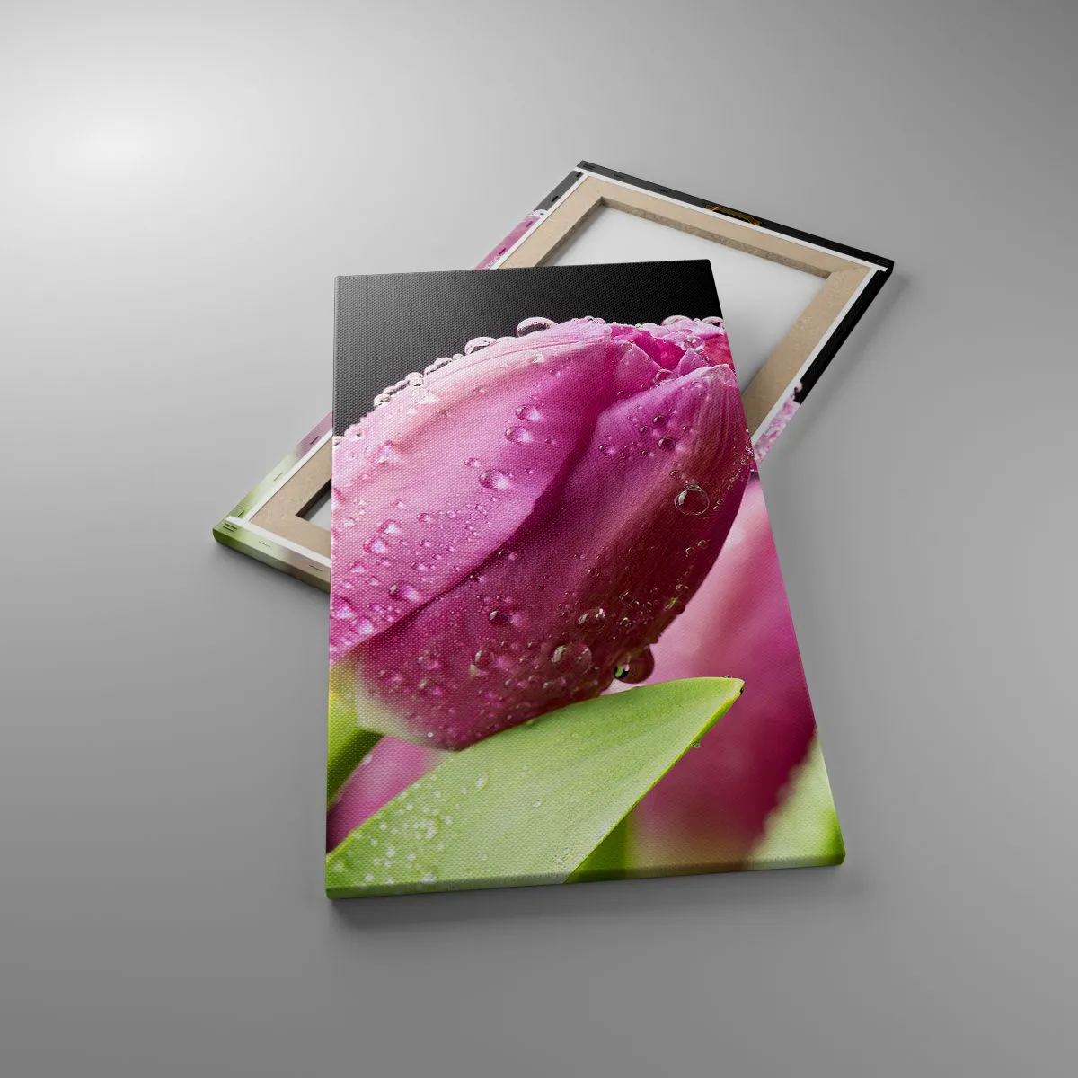 Cuadro sobre lienzo - Impresión de Imagen - Un sueño de lilas en el rocío - 45x80 cm