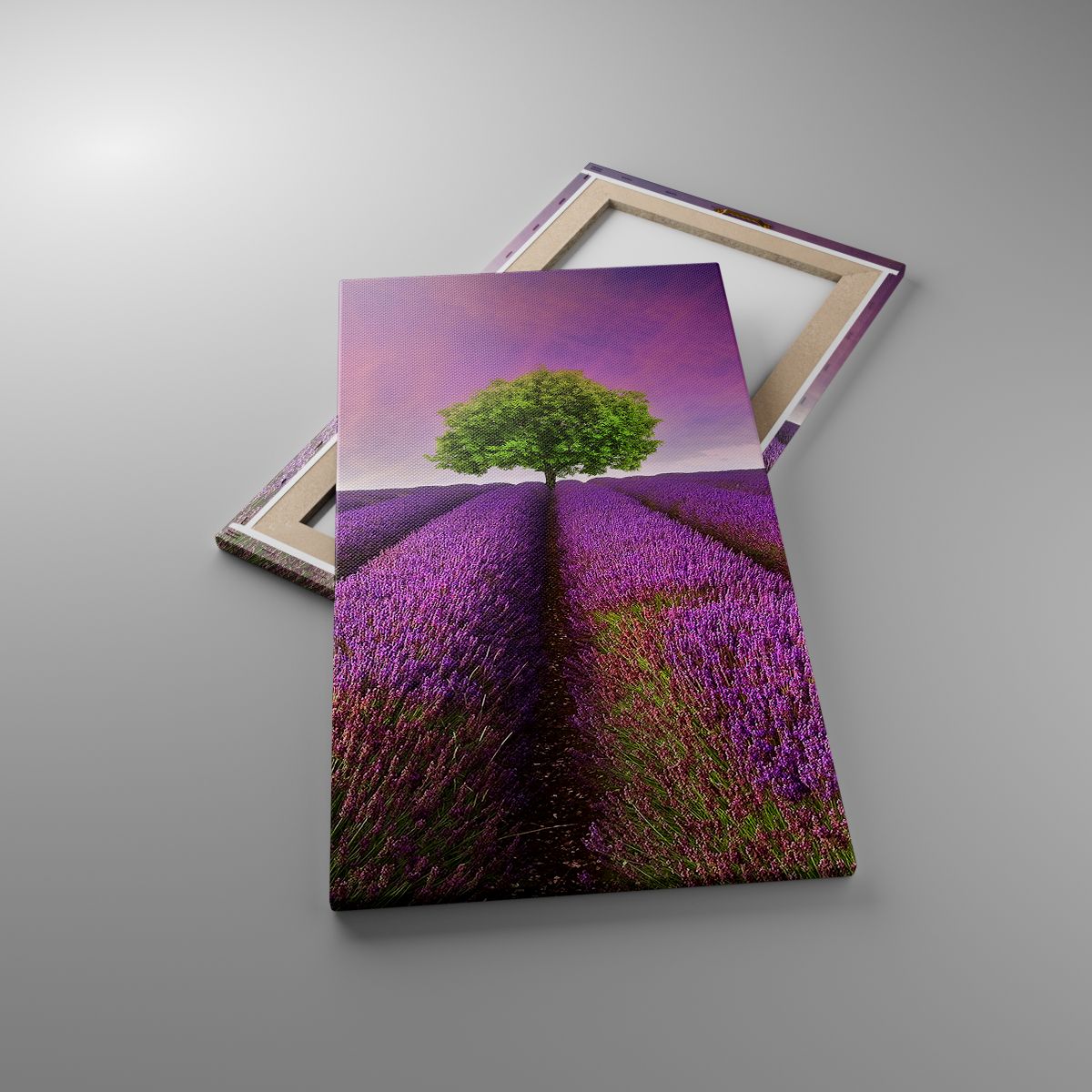 Quadro su vetro Arttor 50x70 cm - Sui campi di lavanda - Paesaggio, Campo  Di Lavanda, Natura, Il Tramonto, Albero, Per il Salotto, Per la Camera da