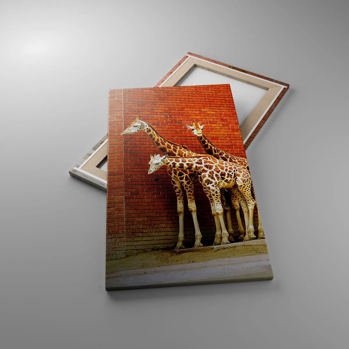 Vászonkép - Láttok akácot? - 45x80 cm