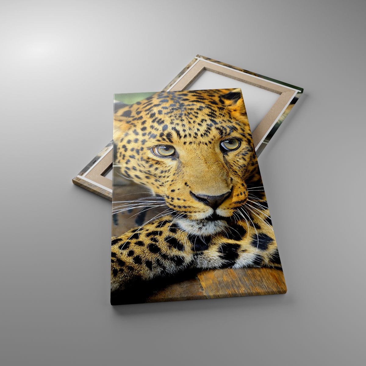 Leinwandbild Tiere, Leinwandbild Panther, Leinwandbild Wilde Katze, Leinwandbild Afrika, Leinwandbild Raubtier