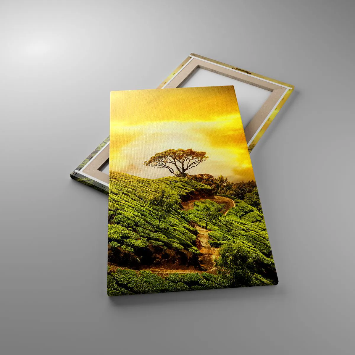 Schilderen op canvas - Een kronkelend pad, een groene helling - 45x80 cm