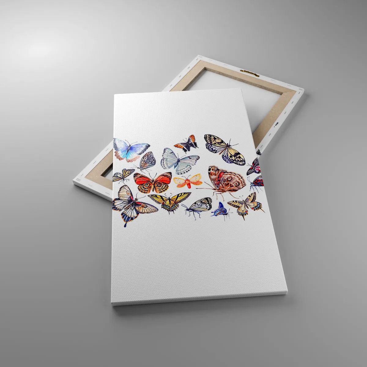 Impression sur toile - Image sur toile - Essaim de dentelle et de couleurs - 45x80 cm