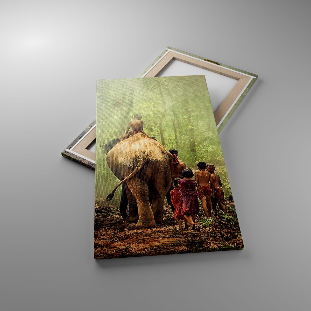 Leinwandbild Landschaft, Leinwandbild Elefant, Leinwandbild Urwald, Leinwandbild Asien, Leinwandbild Thailand