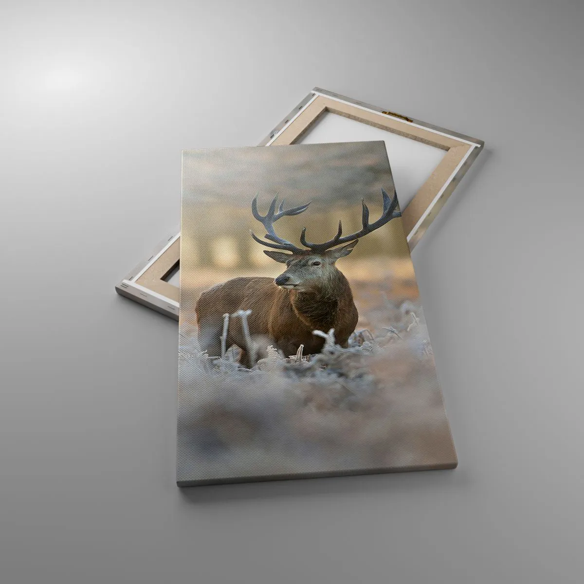 Impression sur toile - Image sur toile - Une matinée animée - 45x80 cm