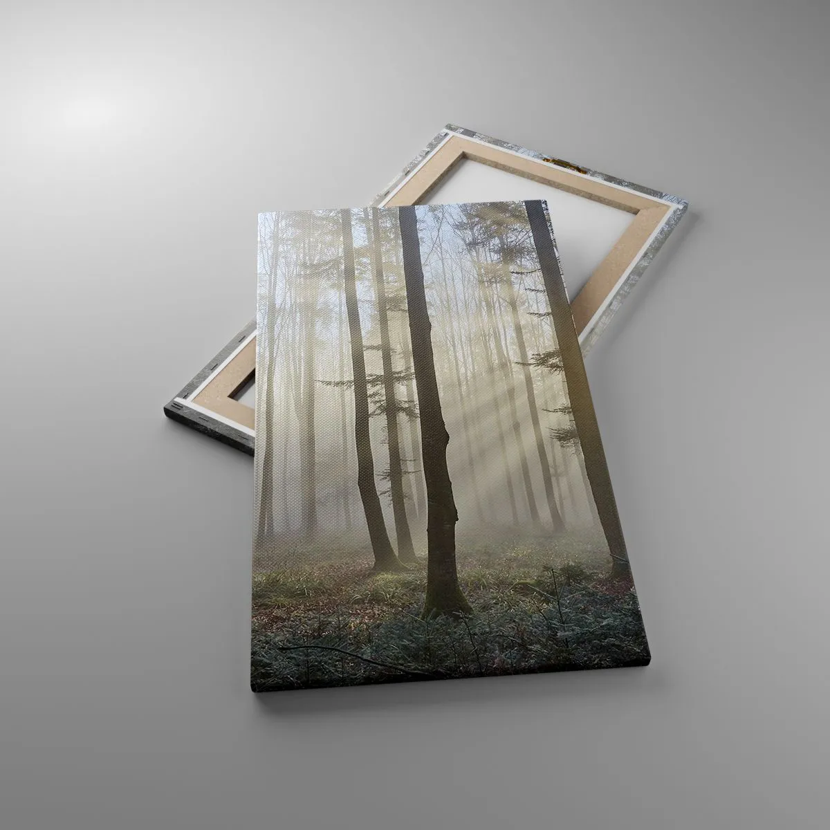 Impression sur toile - Image sur toile - Le brouillard s'est aussi réveillé - 45x80 cm