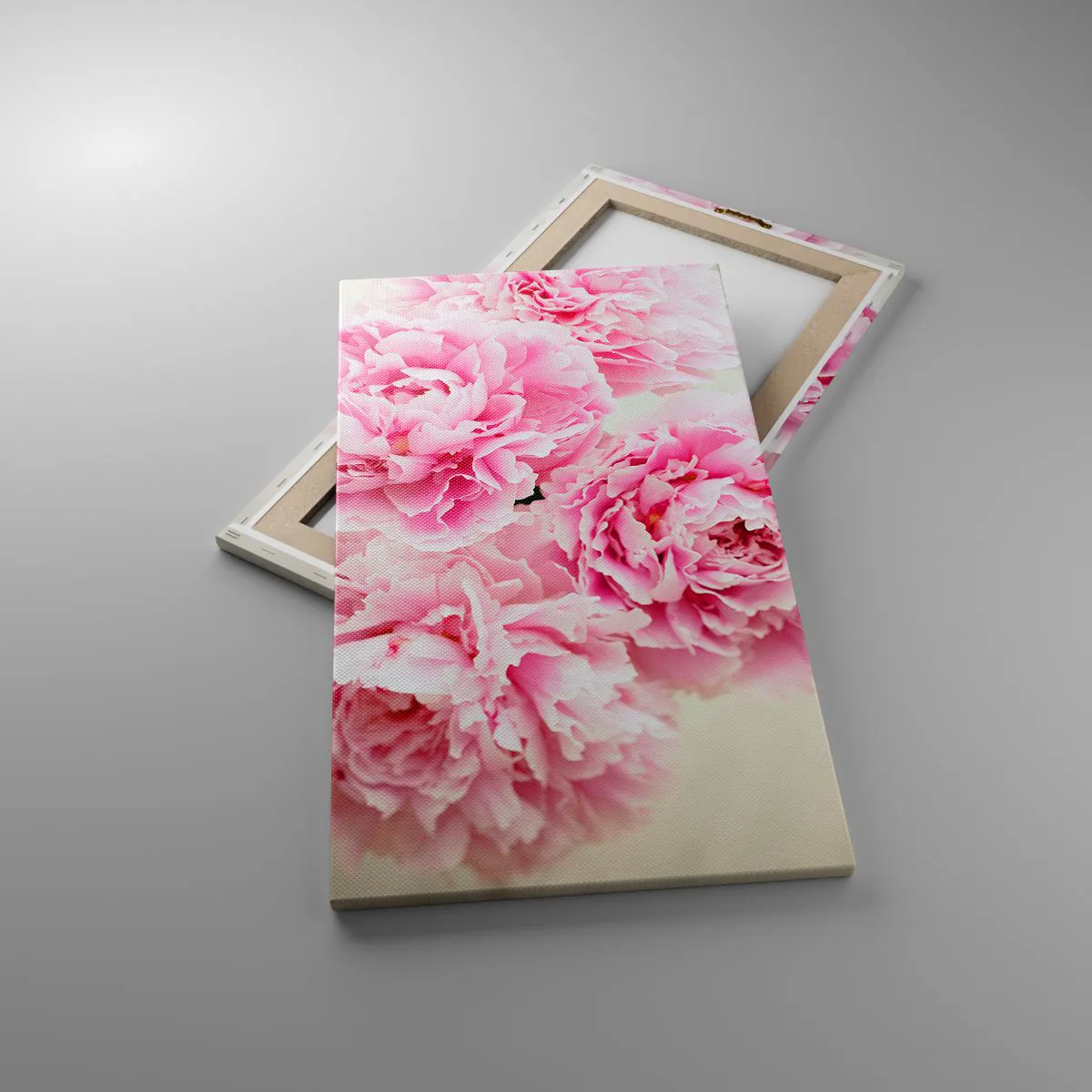 Lærredstryk - Billede på lærred - I lyserød glamour - 45x80 cm