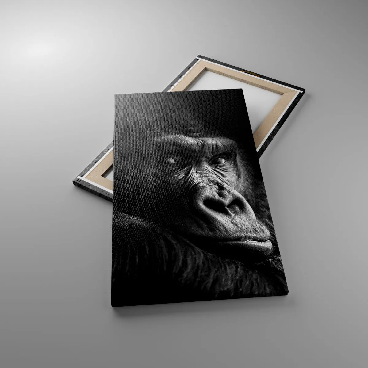 Impression sur toile - Image sur toile - Et qu'est-ce que tu regardes? - 45x80 cm