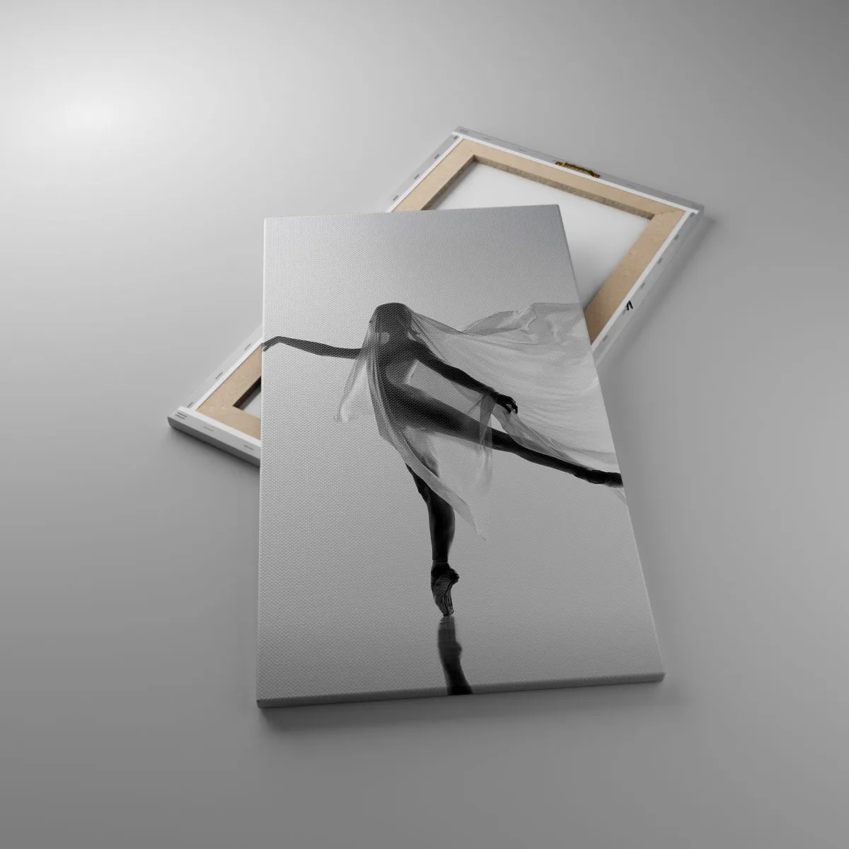 Bild auf Leinwand - Leinwandbild - Leichtigkeit und Anmut - 45x80 cm