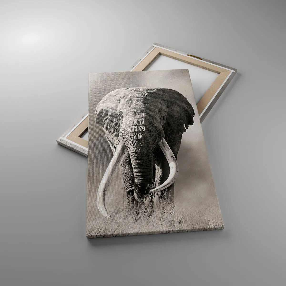 Vászonkép - Afrikai patriarcha - 45x80 cm