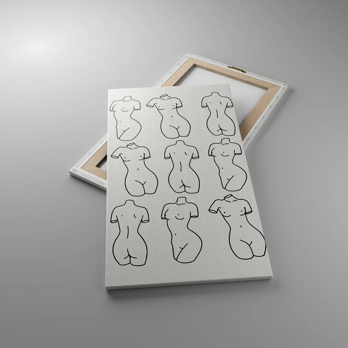 Bild auf Leinwand - Leinwandbild - Nur Venus - 45x80 cm