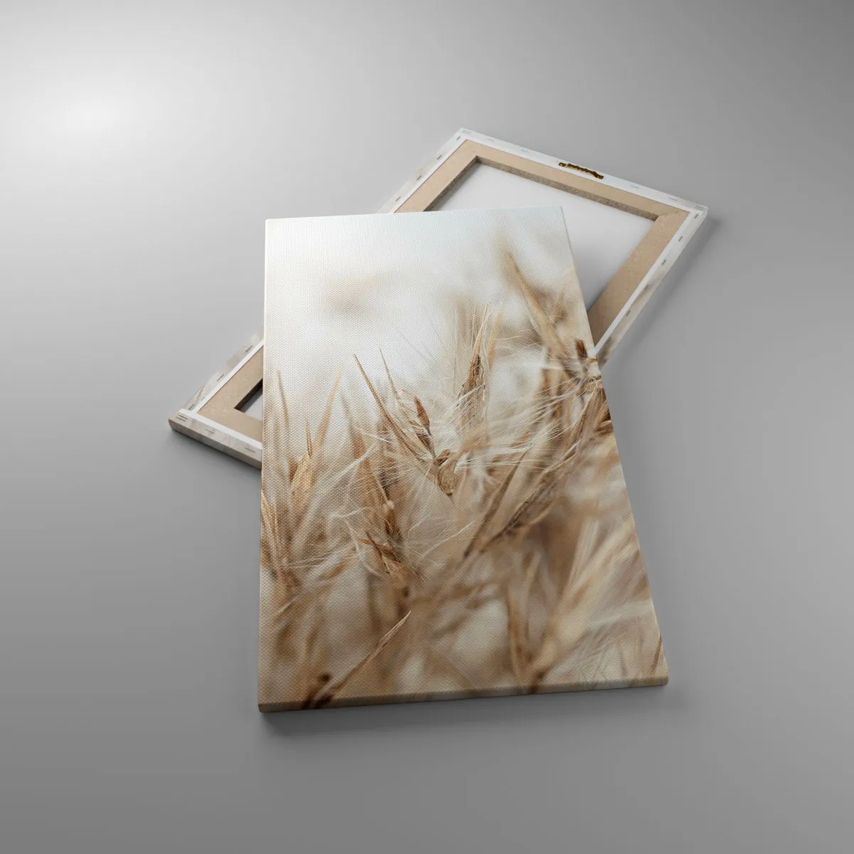 Impression sur toile - Image sur toile - Prairie et vent - 45x80 cm