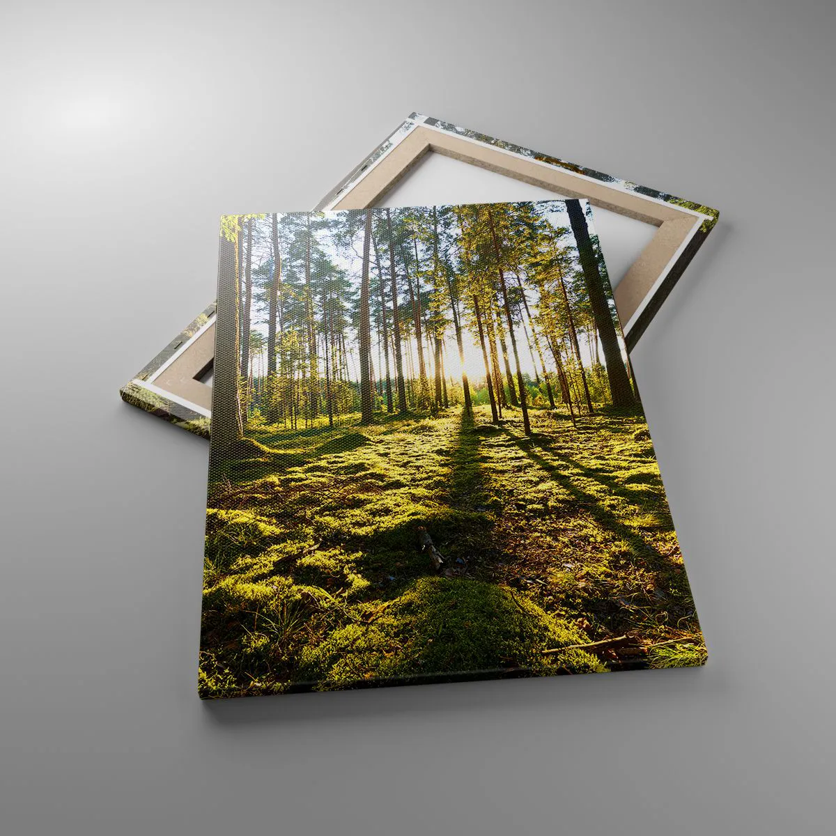 Quadro su tela - Stampe su Tela - Foresta verde illuminata dalla luce del sole sul muschio - 50x70cm - …dopo sette foreste - Decorazione murale moderna per soggiorno e camera da letto ARTTOR