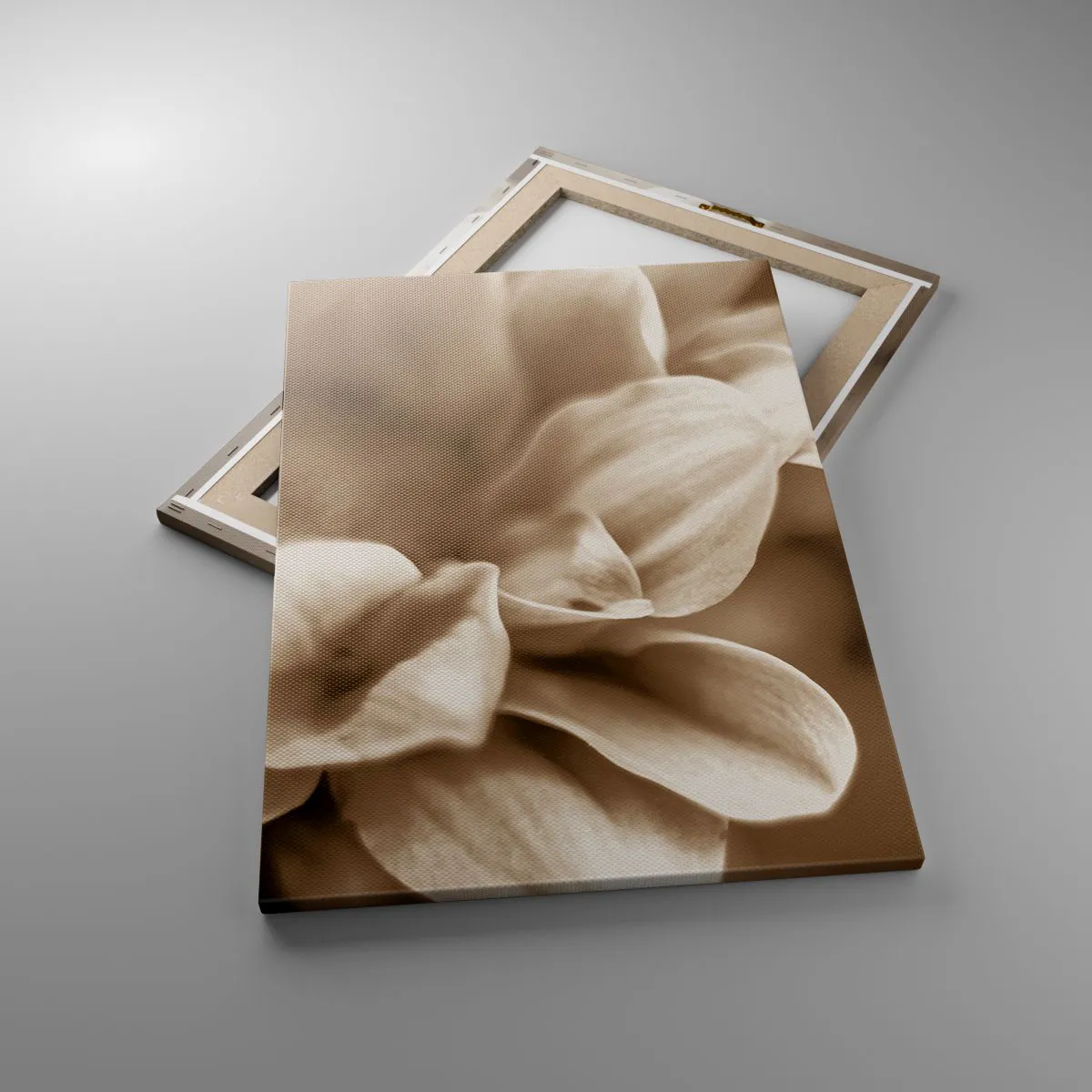 Vászonkép - Gyengéd, mint egy mosoly - 50x70 cm