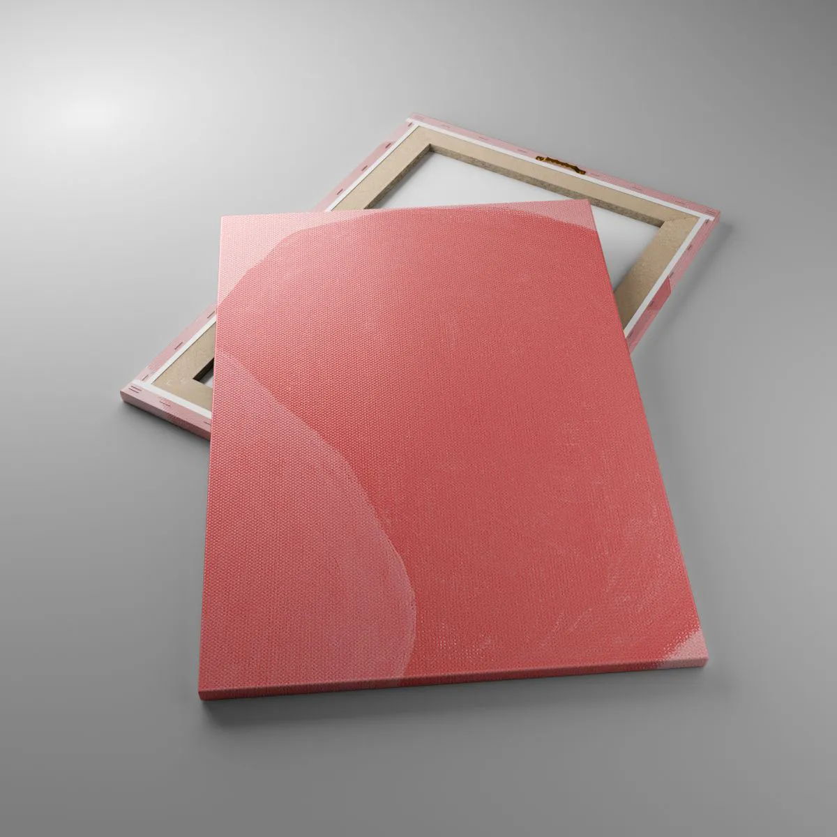 Obraz na plátne - Organická kompozícia v ružovej - 50x70 cm