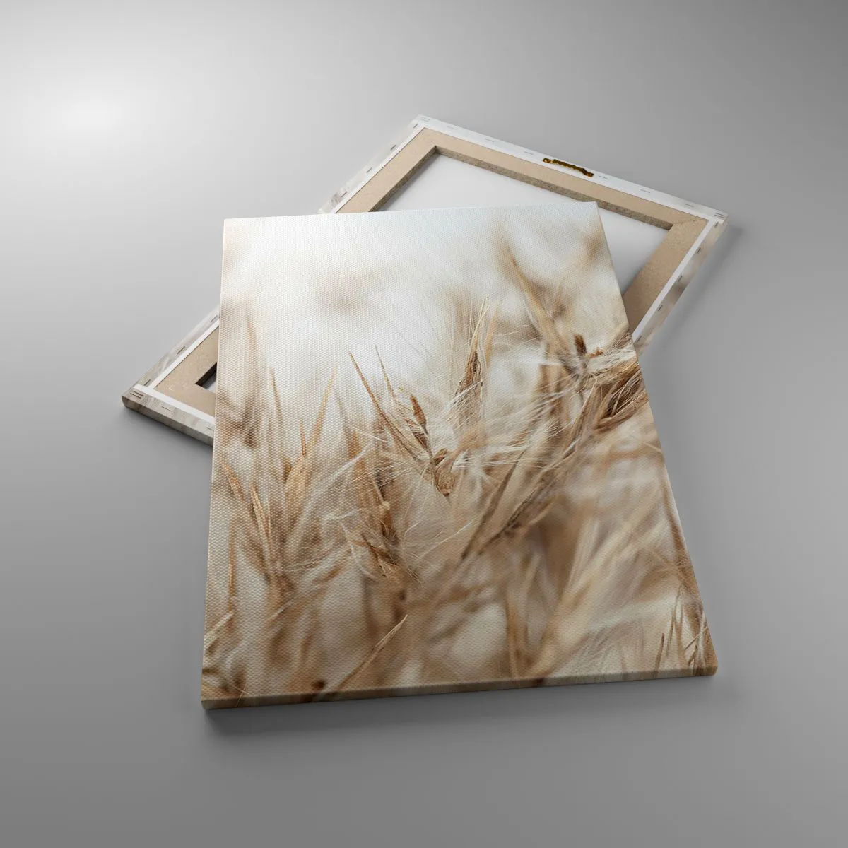 Canvastavla - Bild på duk - Äng och vind - 50x70 cm