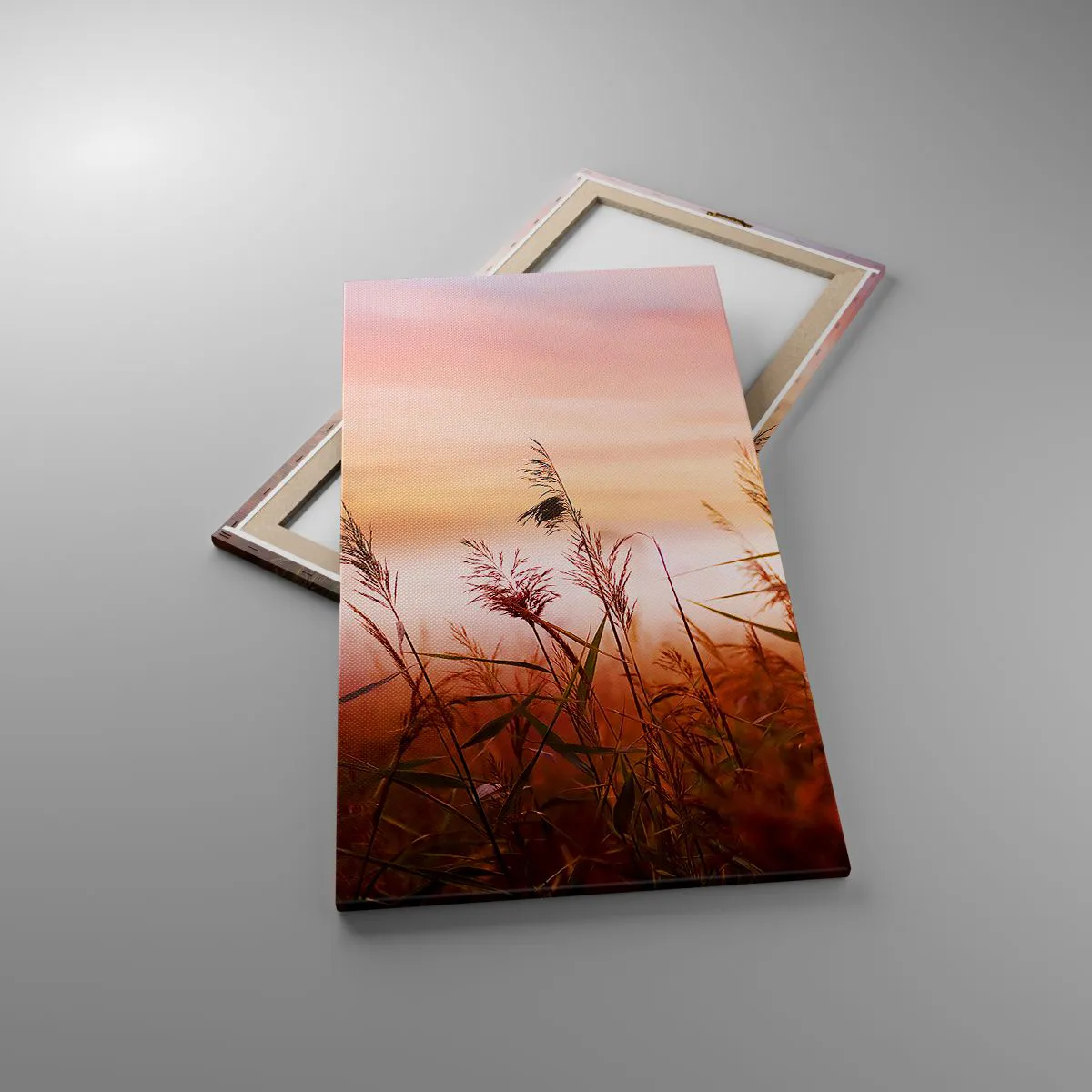 Obraz na plátně - Draci, pampelišky a vítr - 55x100 cm