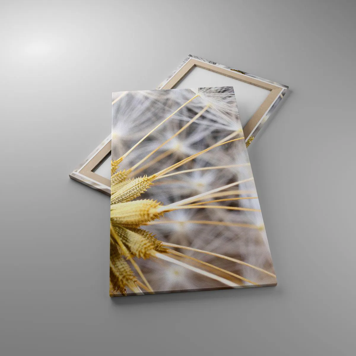 Impression sur toile - Image sur toile - Juste avant le départ - 55x100 cm