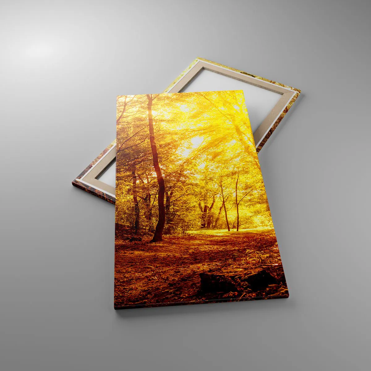 Impression sur toile - Image sur toile - Vers la clairière dorée - 55x100 cm