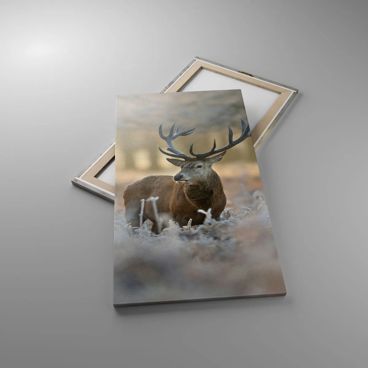 Obraz na płótnie - Rześki poranek - 55x100 cm