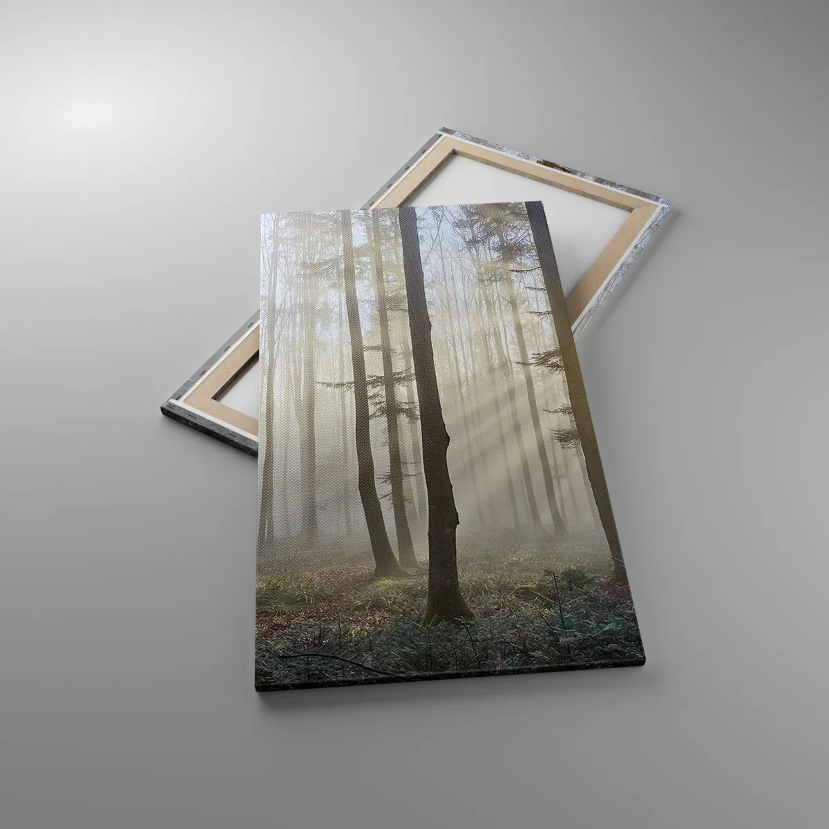 Obraz na plátne - Hmla sa tiež zobudila - 55x100 cm