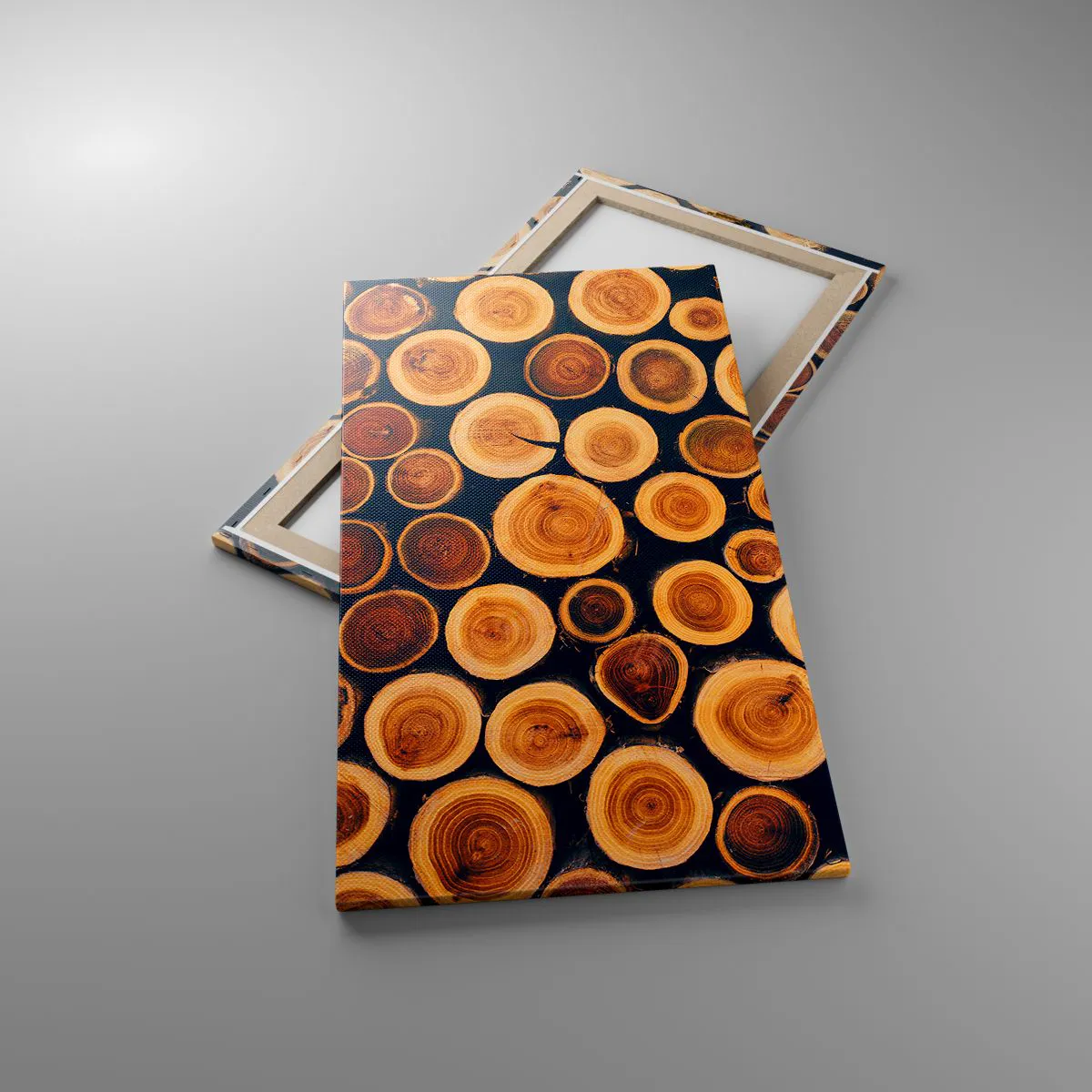 Impression sur toile - Image sur toile - Quel âge je semble avoir ? - 55x100 cm