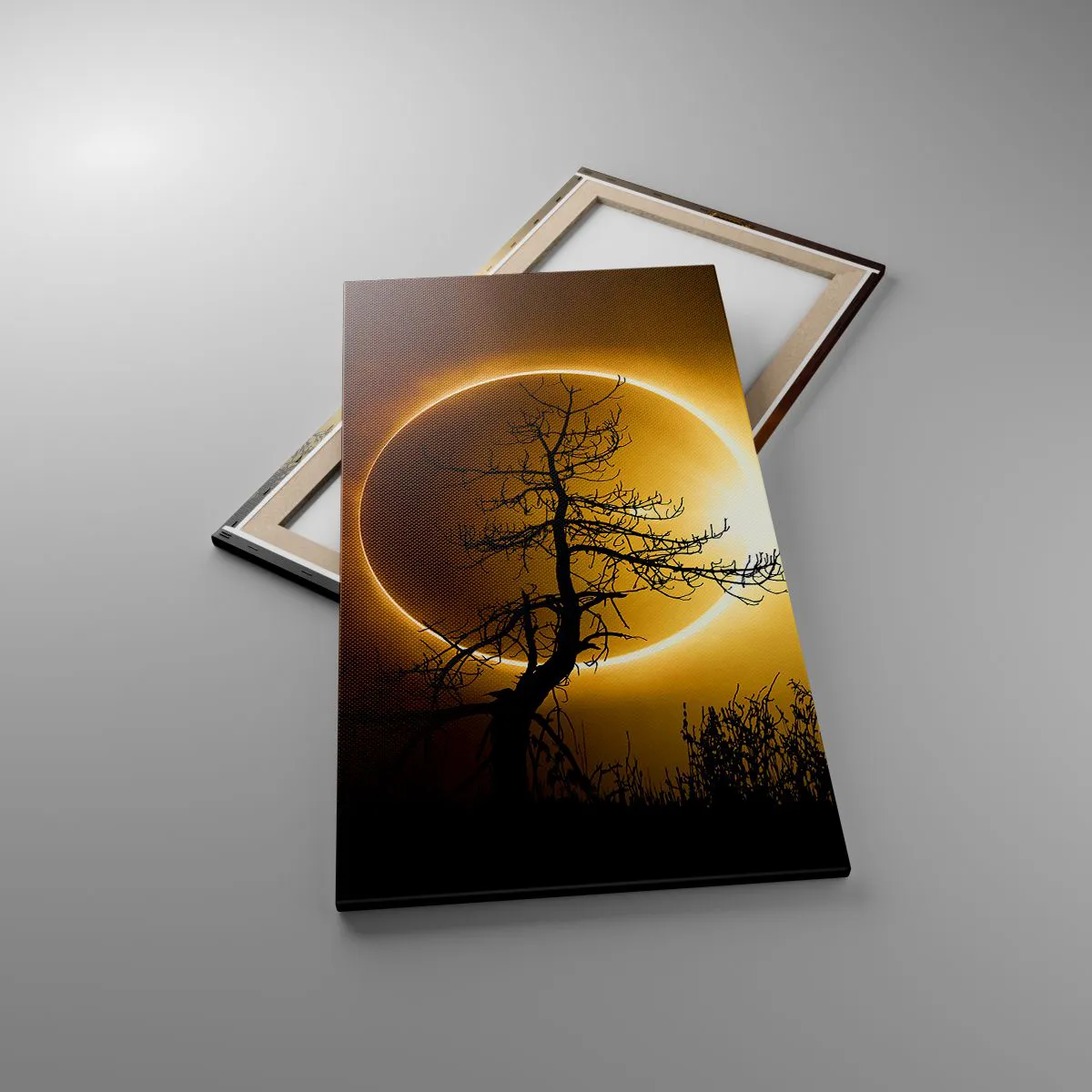 Lærredstryk - Billede på lærred - Total formørkelse - 55x100 cm