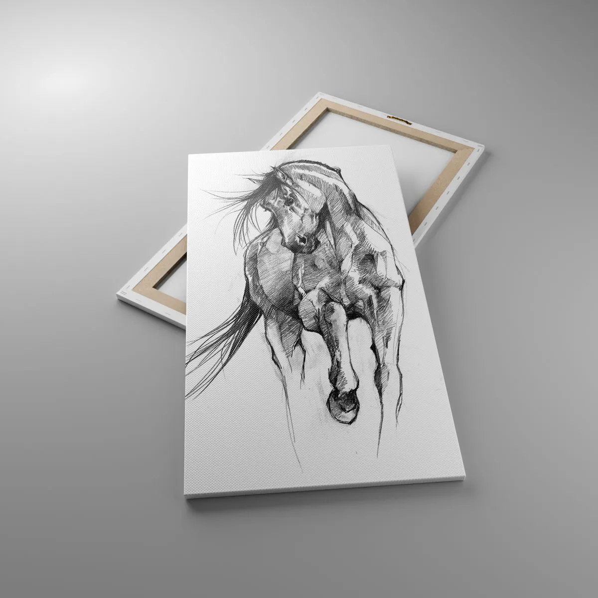 Impression sur toile - Image sur toile - D'un trot gracieux - 55x100 cm