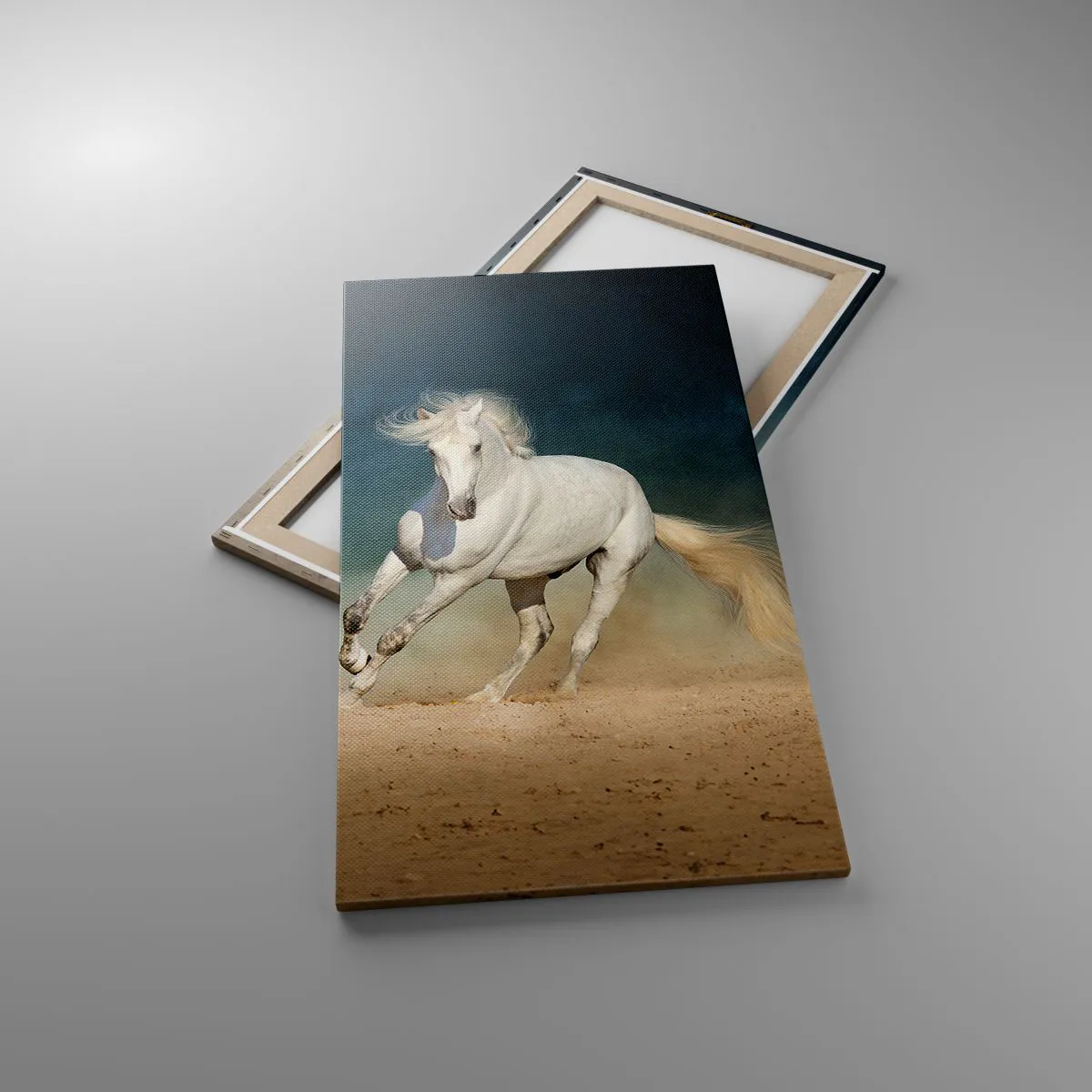 Obraz na płótnie - Wolność w stanie czystym - 55x100 cm