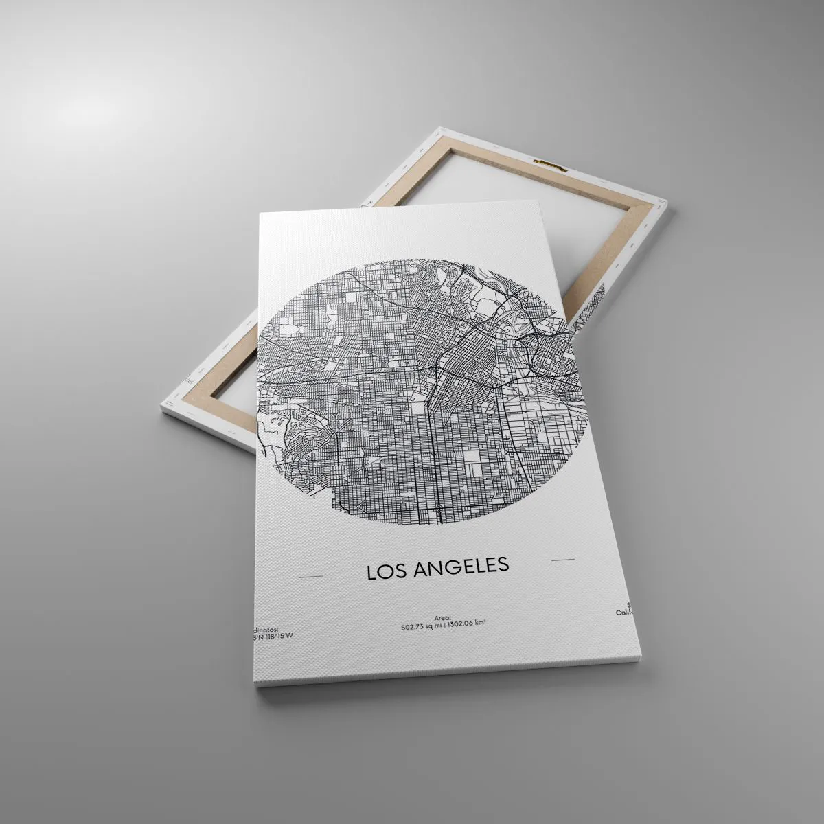 Obraz na płótnie - Anatomia Los Angeles - 55x100 cm