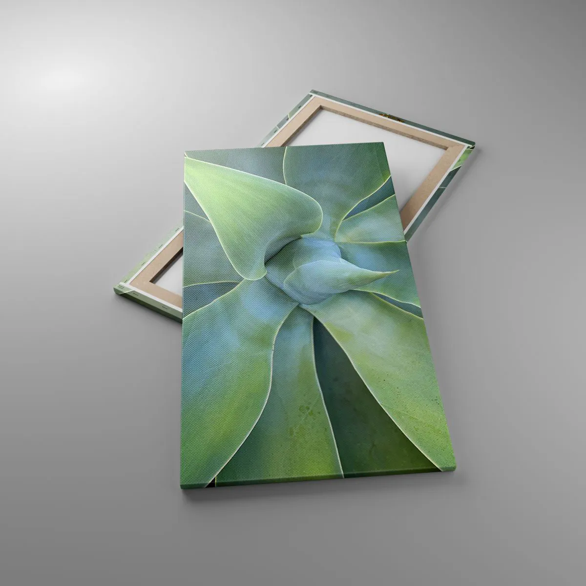 Impression sur toile - Image sur toile - La naissance de la verdure - 55x100 cm