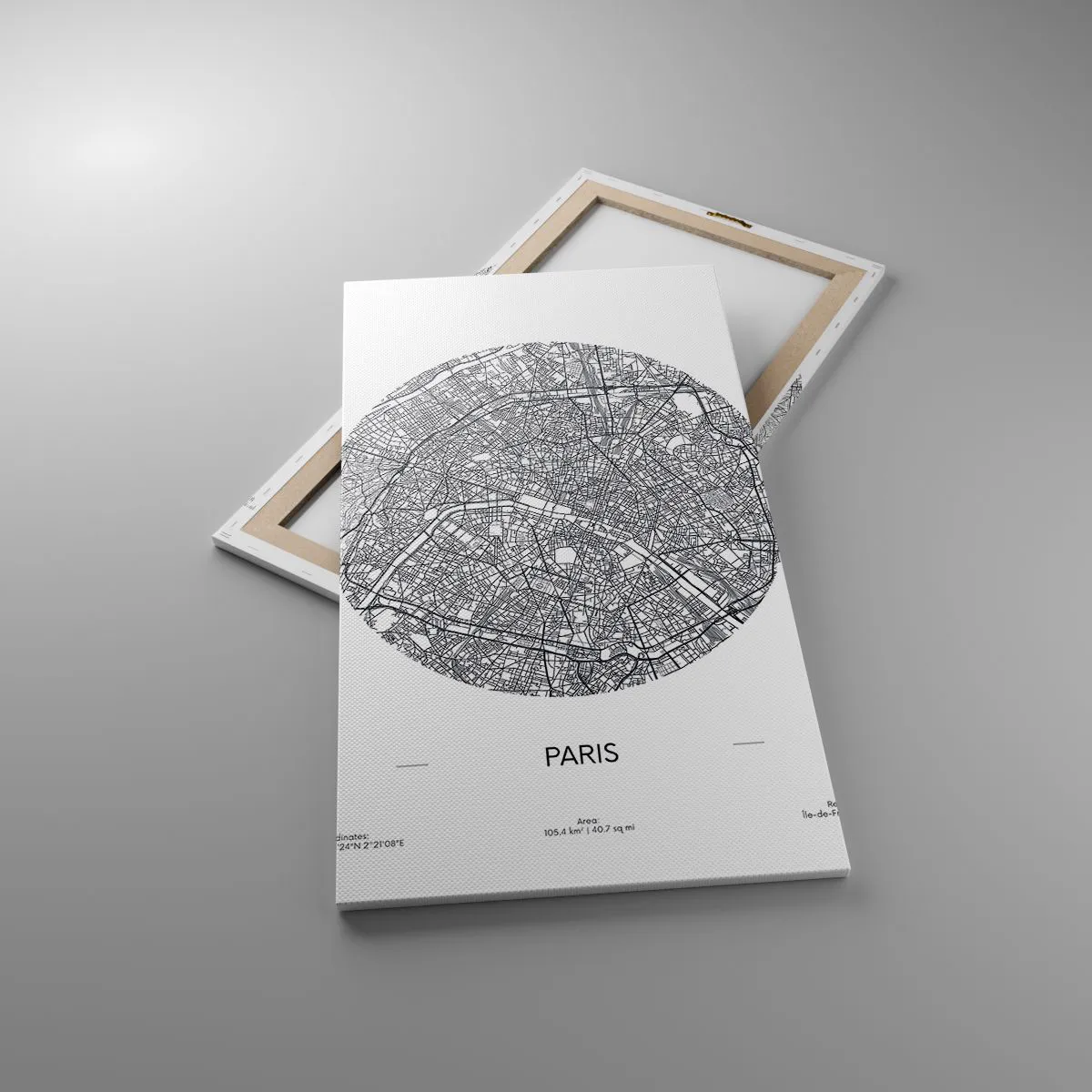 Vászonkép - Párizs anatómiája - 55x100 cm