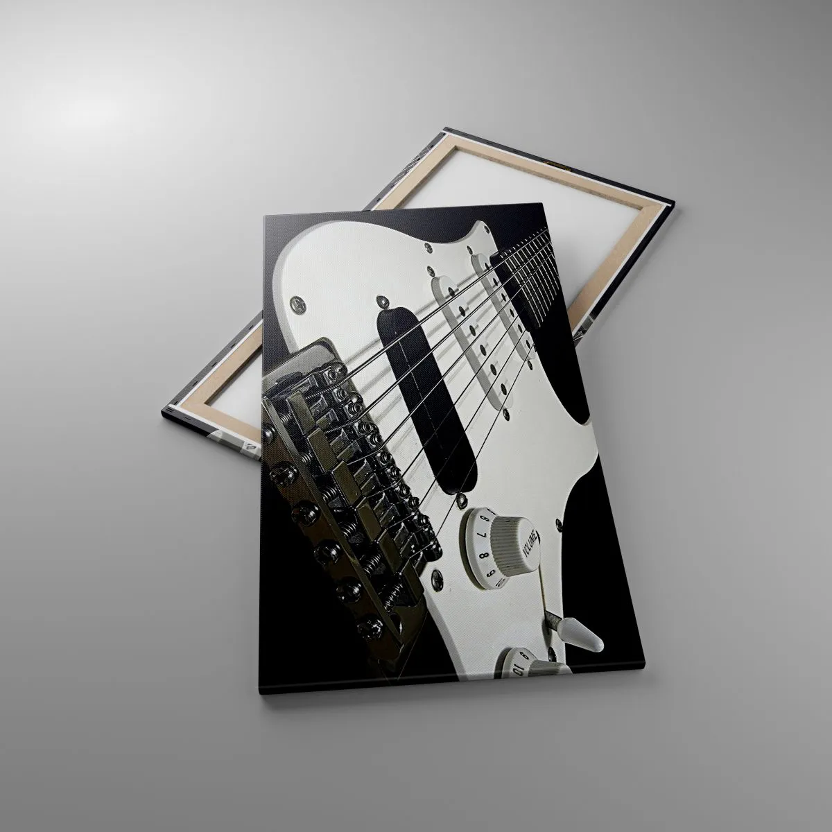 Impression sur toile - Image sur toile - Son caché en blanc - 65x120 cm