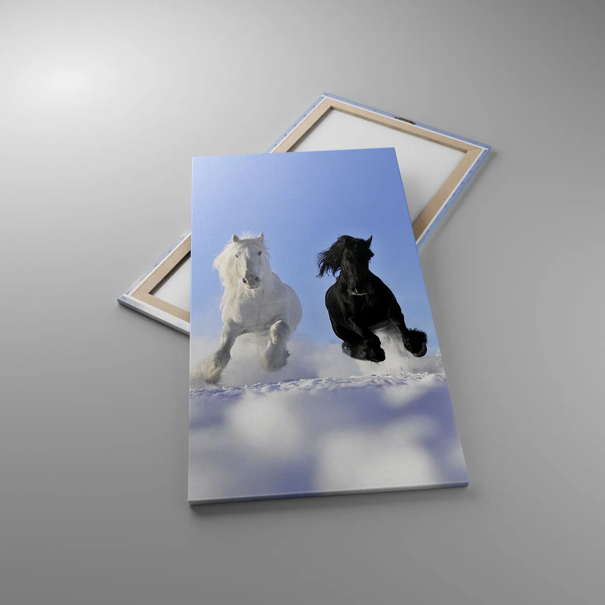 Impression sur toile - Image sur toile - Galop noir et blanc - 65x120 cm