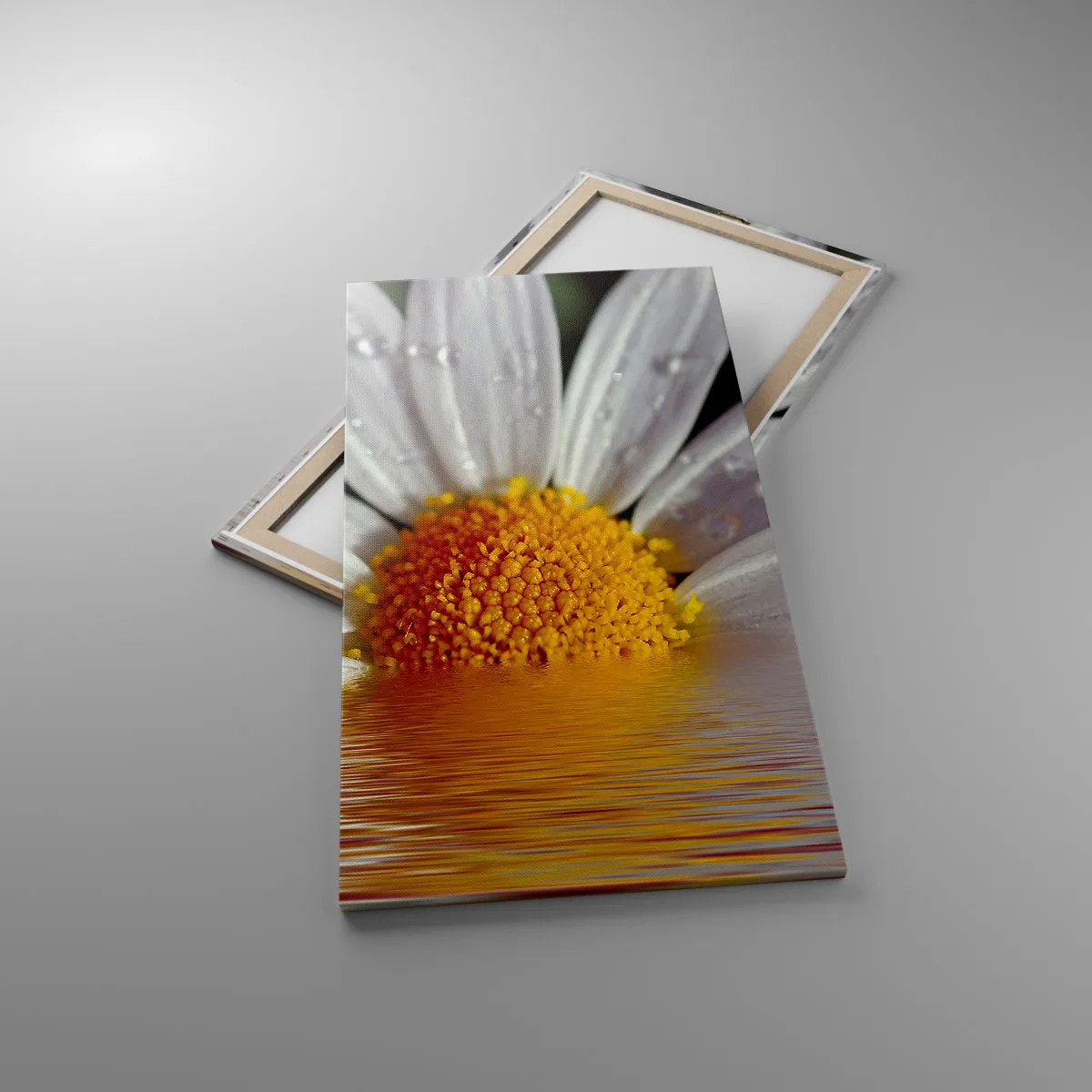 Bild auf Leinwand - Leinwandbild - Die aufgehende Sonne der Gänseblümchen - 65x120 cm