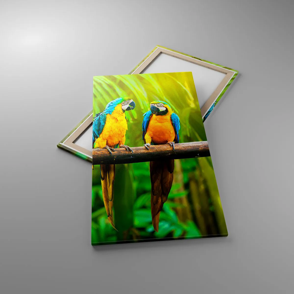 Cuadro sobre lienzo - Impresión de Imagen - ¿Y has oído que ella...? - 65x120 cm