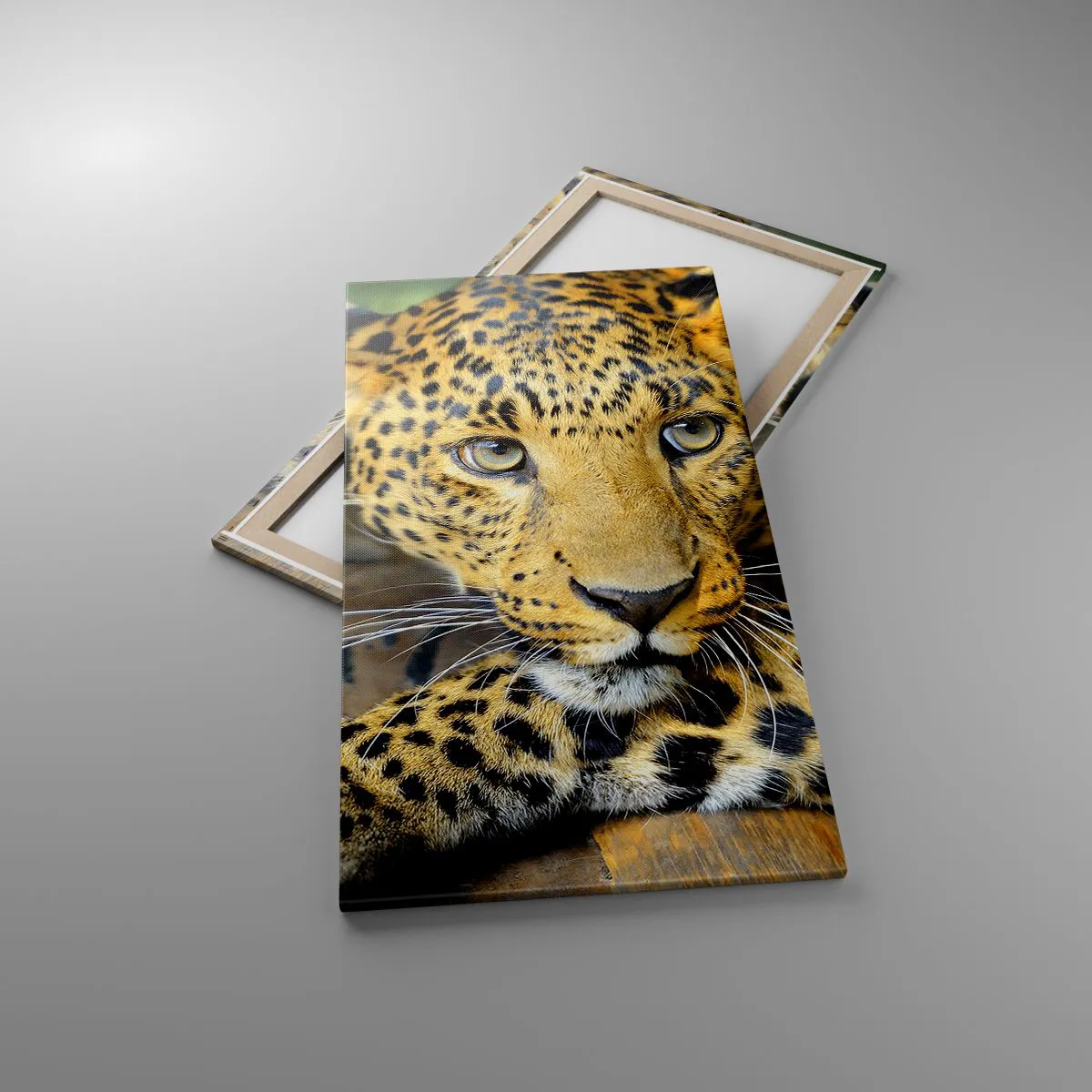 Obraz na płótnie - Nie bój się, podejdź - 65x120 cm