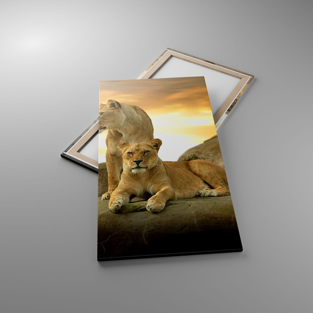 Obrazy Zwierzęta, Obrazy Lew, Obrazy Natura, Obrazy Krajobraz, Obrazy Afryka