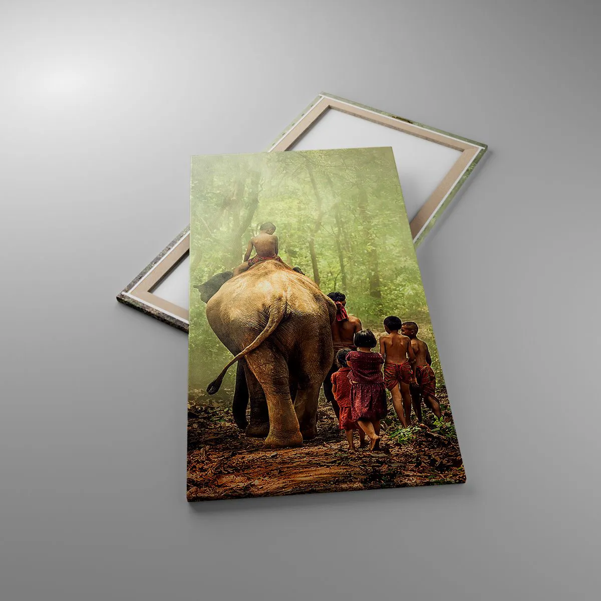 Schilderen op canvas - Nieuw Jungle Boek - 65x120 cm