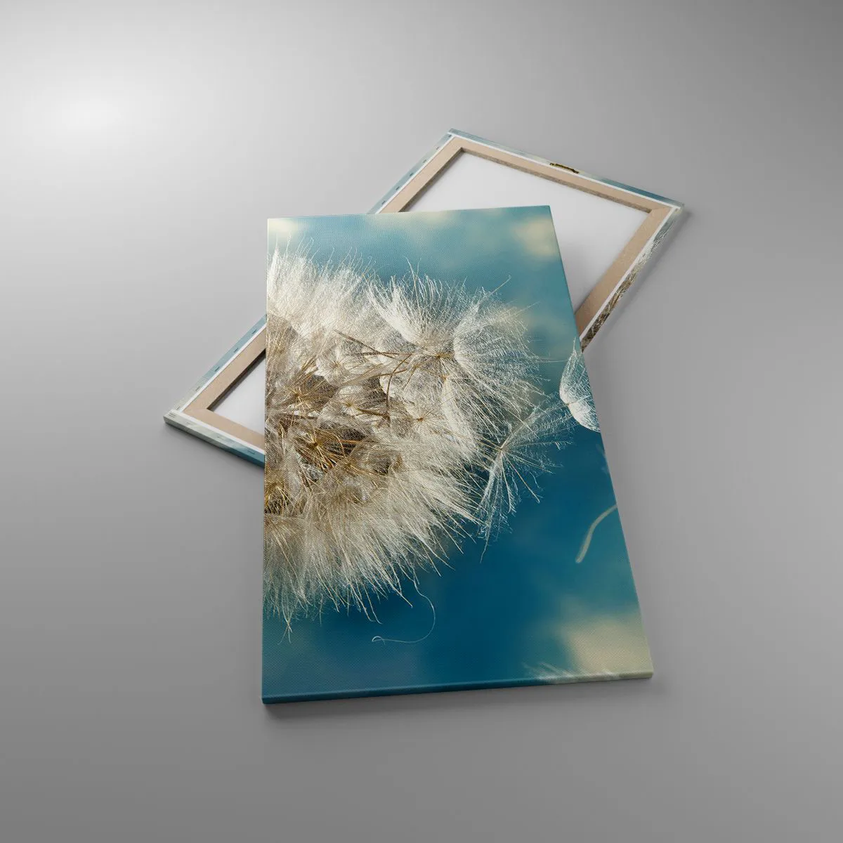 Lærredstryk - Billede på lærred - En engels åndedræt - 65x120 cm