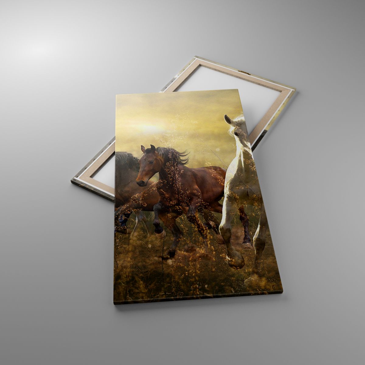 Obrazy Zwierzęta, Obrazy Koń, Obrazy Galop, Obrazy Natura, Obrazy Dzikie Konie